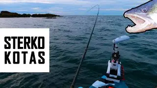 Jautrus spiningas starkiui, dideliam ešeriui, lydekai