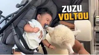 A ZUZU VOLTOU PRA NOSSA CASA E O THALES FICOU MAIS FELIZ QUE TUDO