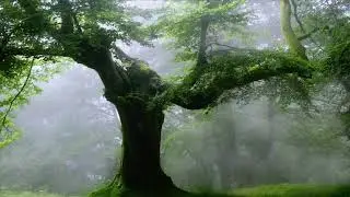 "Неужели" Сергей Куренков.https://youtube.com/@sergeykurenkov