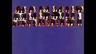 Mammut - Nahgarn Mammut
