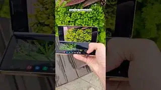 Samsung W24 Folding Phone Photography Is So Satisfying 