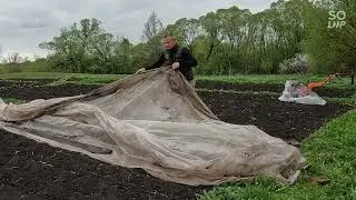 Полив, прикорм рассады.