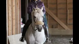 UUSI LAJI - RATSASTUSJOUSIAMMUNTA! 🐴🏹