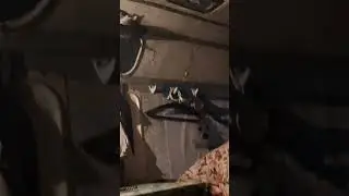 Существо разбило окно