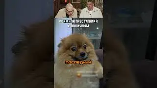 У нее ведь почти получилось!