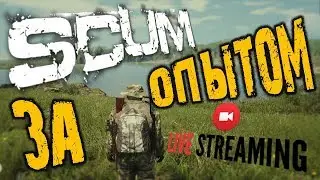SCUM - ЗА ОПЫТОМ  SCUM игра