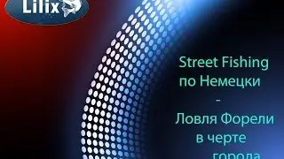 Street Fishing по Немецки - Ловля Форели в черте города.