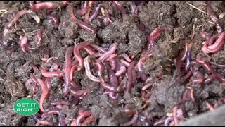 Rearing earthworms for profit - Vermiculture |Part 1|
