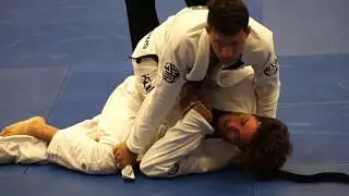 AOJ Black Belt - Prof Alexis Fonseca