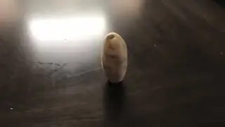 Potato Falling over