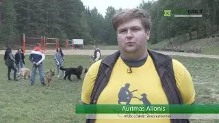 A. Alionis: „gyvūnų laikymo taisyklės Alytuje prasilenkia su sveiku protu