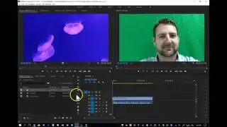 Ultra Key effect made easy in Adobe Premiere Pro CC