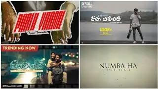 The Best Heart Touching | Mind Relaxing  Sinhala Songs Playlist | For Calm Mind | New sinhala songs