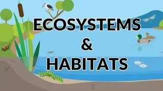 Some major ECOSYSTEM|Last Part|Important|NMDCAT|MDCAT|UHS|KMU|NTS|SINDH MDCAT|LUMHS|BIOLOGY|TEXTBOOK