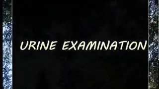 Urine Analysis-2 ( Microscopic Examination)