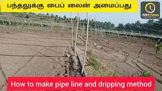 பந்தலுக்கு பைப் லைன் அமைப்பது How to Make pipe line and dripping method