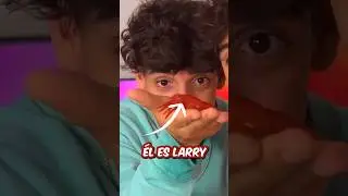 🦞Ecosistema de Minecraft para Mi Langosta🦞