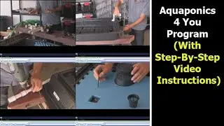 Aquaponics 4 You Program (With Step By Step Video Instructions)