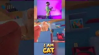 Cat from above! #vr #iamcat #vrgaming