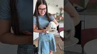 ex boyfriend gave away dog 🫣 tg: Manastya (it's cool there)