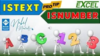 PRO Tip for the ISTEXT and ISNUMBER Excel Functions