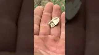 A Civil War soldier Carved this bullet! #metaldetecting #detectinghistory #civilwarrelics #civilwar