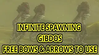 Infinite Gibdo Bone Farm Exploit