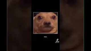 Пэс ты будешь майонез?