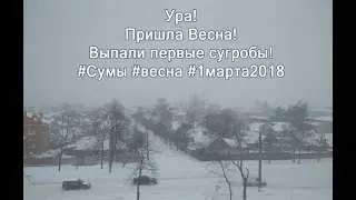 Пришла весна 2018! Сумы, выпали сугробы