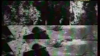 Технические Неполадки (Хабар, 1999)