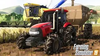INICIANDO A ÚLTIMA COLHEITA DE ARROZ || MAPA SUL DO BRASIL || FARMING SIMULATOR 19 || 