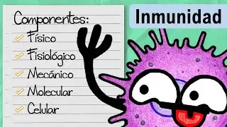 Pelo, Moco, Tos, Diarrea... | Inmunidad Innata y Adaptativa | Componentes