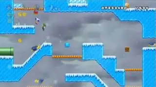 New Super Mario Bros. Wii - Finale