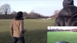 как птица