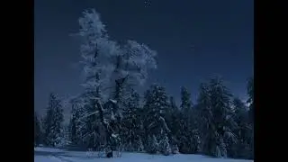 Зимняя сказка
