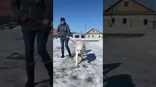 21 марта 2023 г.