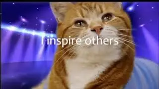 Chill with Keyboard Cat now!!!
