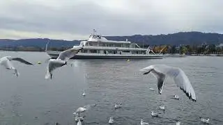 Zurich lake #switzarland @Wanderergirl
