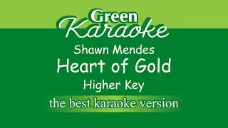 Shawn Mendes - Heart of Gold (Karaoke) Higher Key