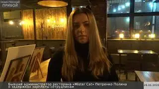 Бывшие сотрудники заведения «Mister Cat» обвиняют руководство сети ресторанов в невыплате зарплаты