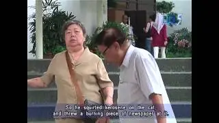 Man fined S$3,000 for setting neighbour's cat on fire - 24Apr2012