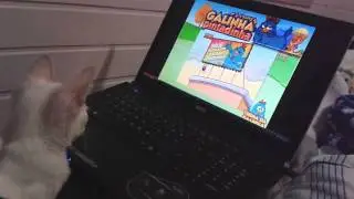 Marrie assistindo galinha pintadinha