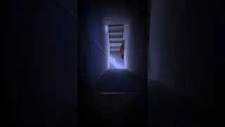 ​