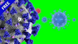 CoronaVirus Covid19 Green Screen 3D effects (No Copyright)