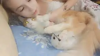#кот #котики #коты #котик #мило #милота #нежность #дети