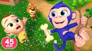 🐶🐱🐭🐰🐻🐼Eeny Meeny Miny Moe with Animals | Newborn Baby Songs & Nursery Rhymes