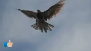 Немного шевелим.......
