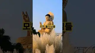 높이 21미터, 좌대를 포함하면 45미터로, 우리나라 최대 좌불상, 부산 두구동 홍법사가 좋다면 두번터치 #홍법사