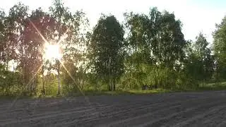 Киевская обл. - природа)
