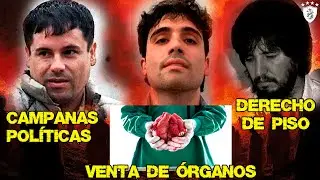 9 Terribles Negocios del Narco